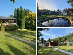 Łódź. Ogródki działkowe w Łodzi. Ile kosztuje upragniony kawałek zieleni w mieście?