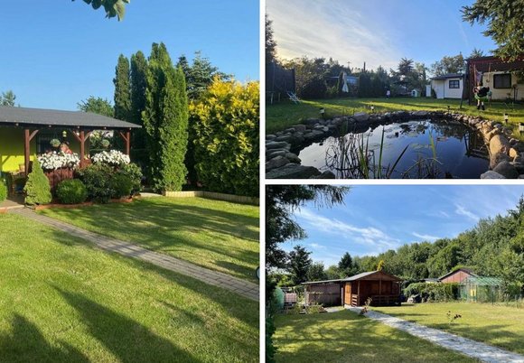 Łódź. Ogródki działkowe w Łodzi. Ile kosztuje upragniony kawałek zieleni w mieście?