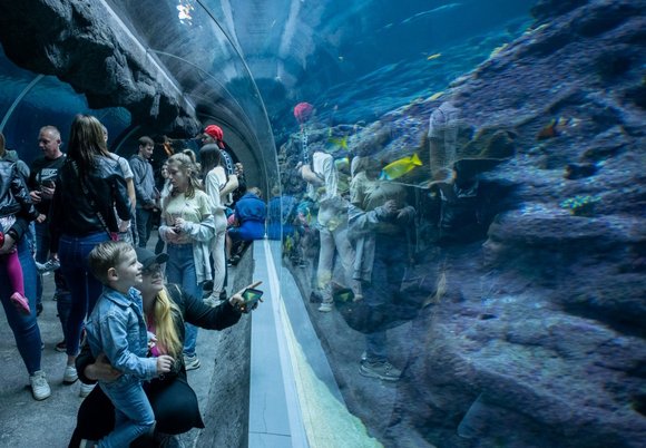 Łódź. Tunel oceaniczny w Orientarium Zoo Łódź
