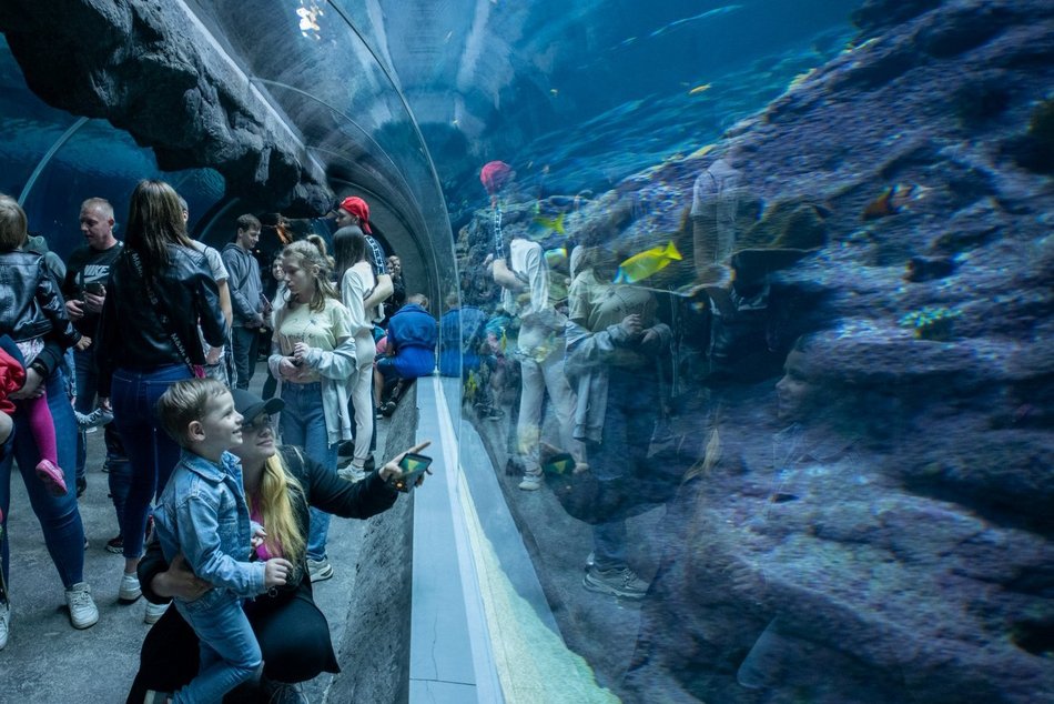 Łódź. Tunel oceaniczny w Orientarium Zoo Łódź