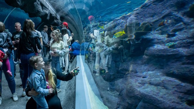 Piracka przygoda w Orientarium Zoo Łódź. Poszukiwania skarbów i morskie legendy