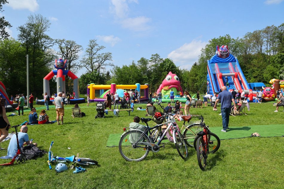 Łódź. Piknik na Młynku w Łodzi. Dmuchańce, alpaki, gigantyczne kręgle i rowery wodne