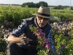 Róże o zapachu pasty do podłóg? Łukasz Rojewski z Łodzi podbija Europę kwiatami!