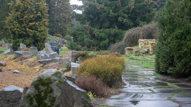 Świąteczne warsztaty i wystawa w Ogrodzie Botanicznym w Łodzi. Dobra zabawa i ciekawostki