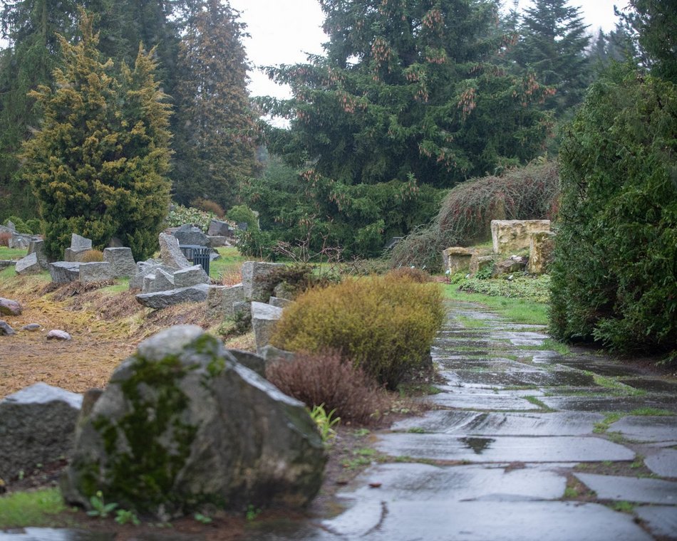 Świąteczne warsztaty i wystawa w Ogrodzie Botanicznym w Łodzi