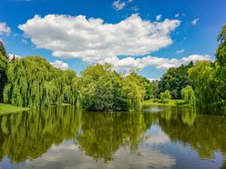 Park Widzewski w Łodzi