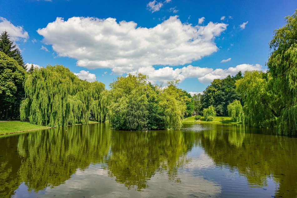 Park Widzewski w Łodzi