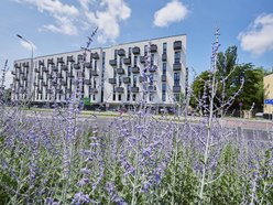 Kwiatowa łąka na ul. Kopcińskiego w Łodzi