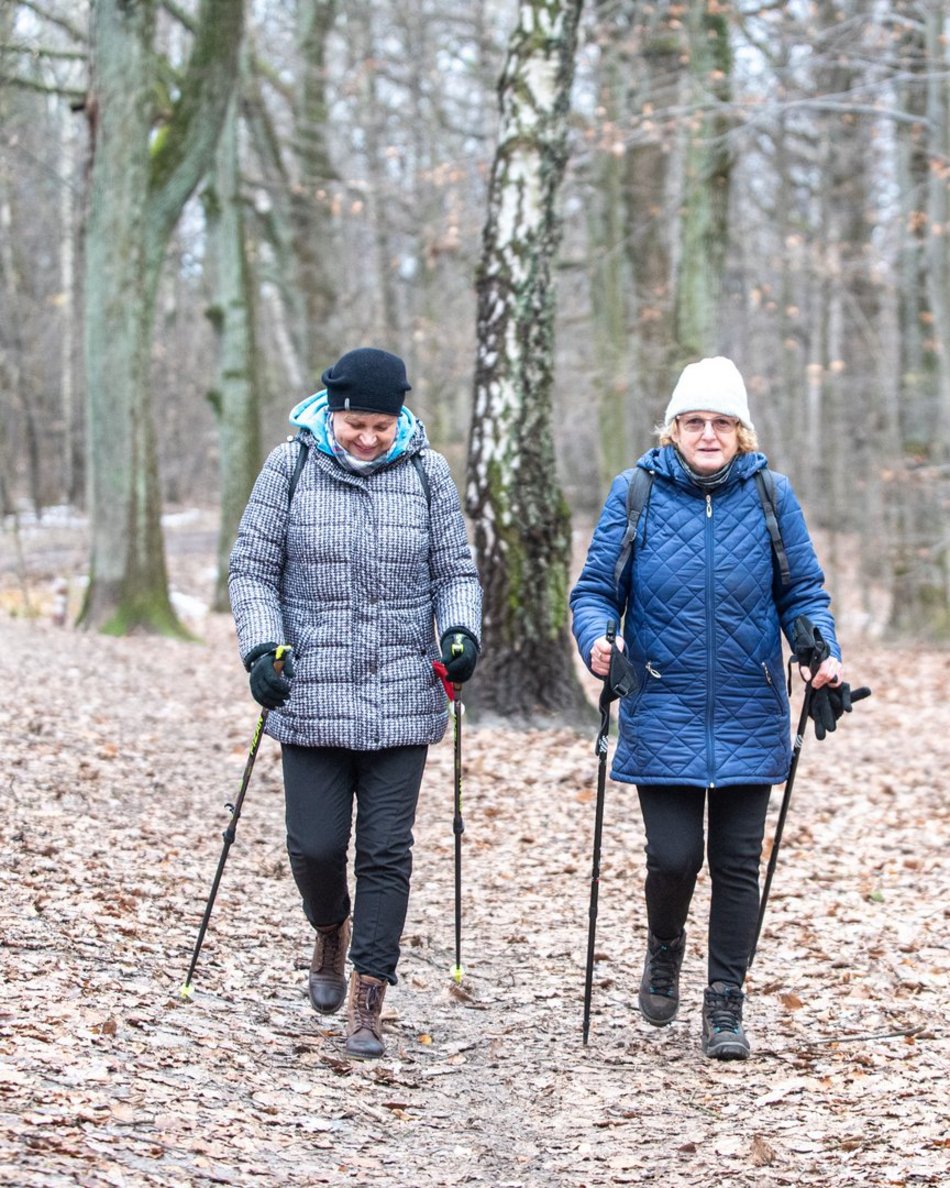 senirozy lodz nodic walking