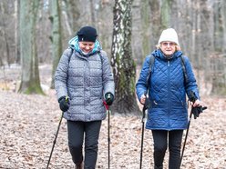 senirozy lodz nodic walking