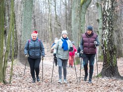 Centra Zdrowego i Aktywnego Seniora