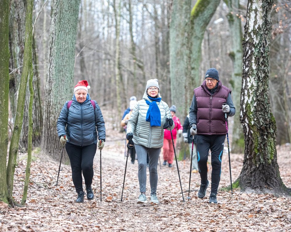Styczniowy nordic walking w Łodzi. Wybierz się na zimowy spacer z kijkami