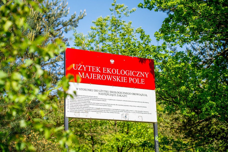 grupa ludzi spaceruje w naturze