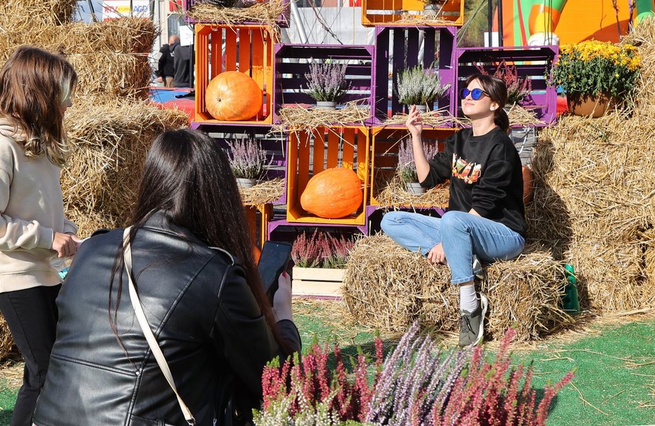 Farma Dyniowa w Pasażu Łódzkim