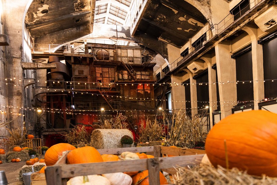 Łódź. Farma Dyń w Fuzji Łódź. Pozycja obowiązkowa na jesienną sesję fotograficzną! [ZDJĘCIA]