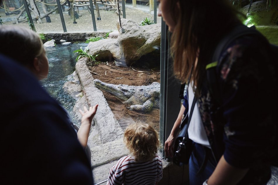 Łódź. Orientarium Zoo Łódź