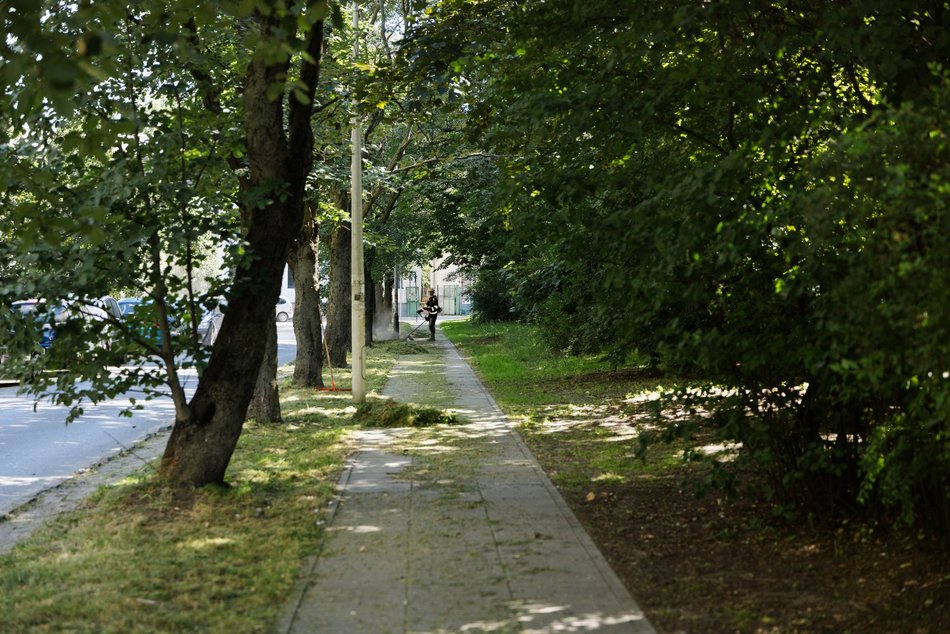 Łódź. Prace pielęgnacyjne w parku przy Leczniczej w Łodzi. Będzie ładniej i wygodniej!