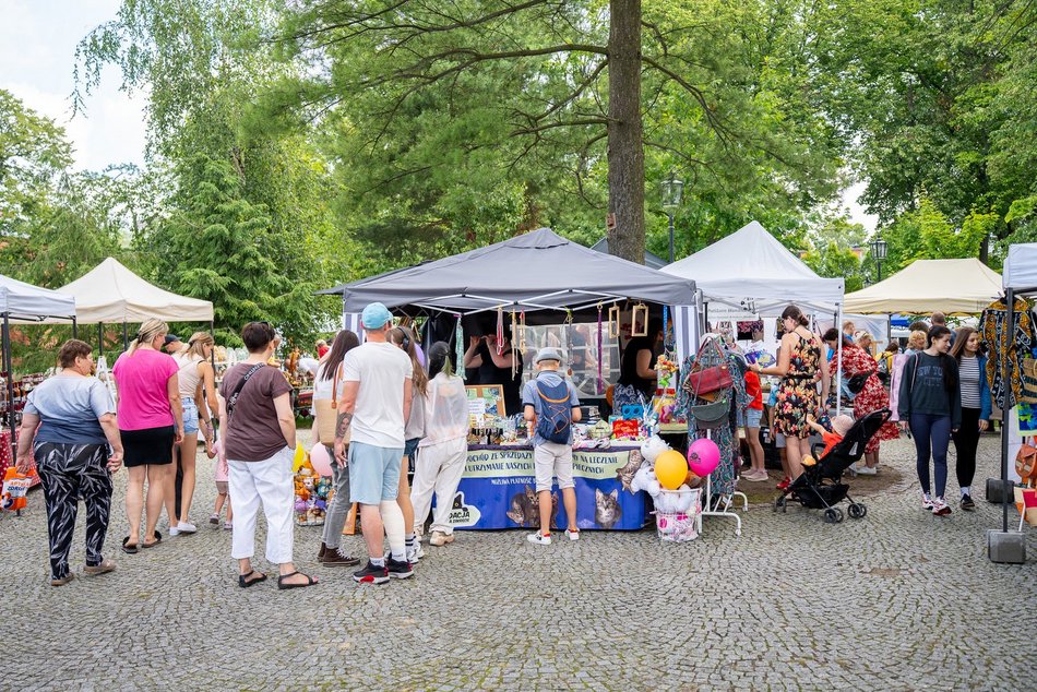 Łódź. Co robić w długi weekend w Łodzi? Kino pod chmurką, Rave for Dogs, Targ Staroci, wegański festiwal kulinarny