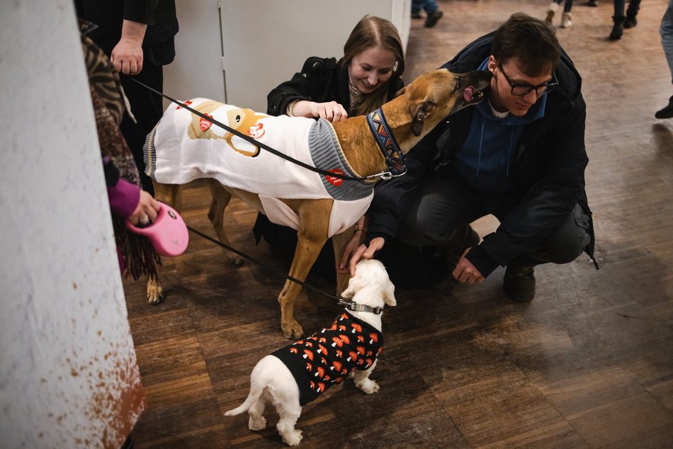 Łódź. Światełko do Nieba zakończyło WOŚP 2026 w Łodzi. Tłumy Łodzian w Manufakturze