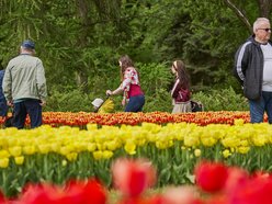 Ogród Botaniczny w Łodzi