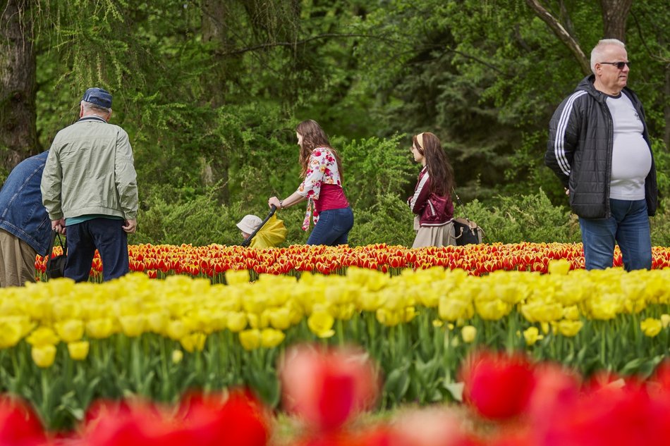 Ogród Botaniczny w Łodzi