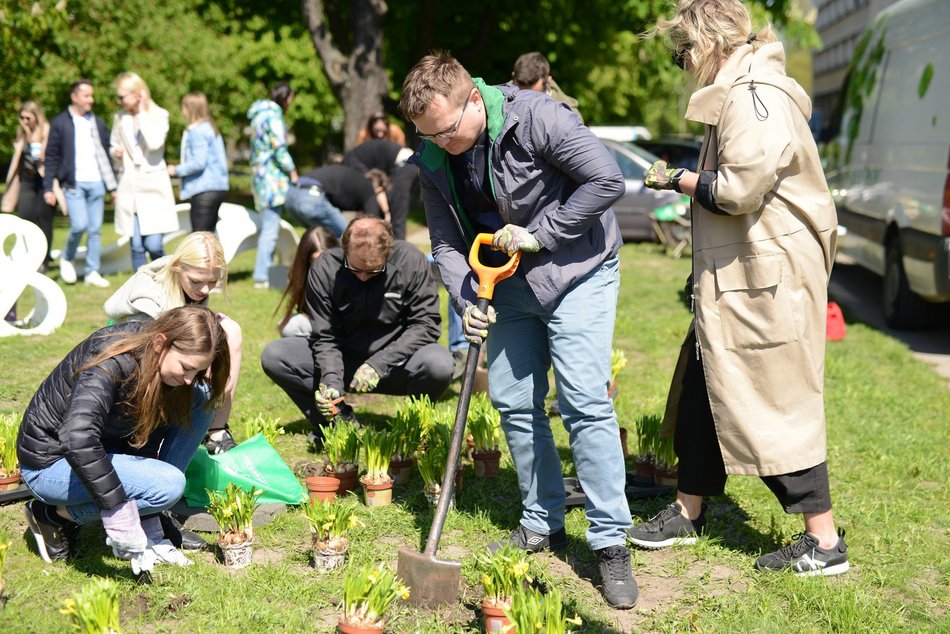 sadzenie zieleni na skwerze