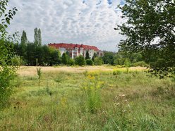 Park Mirabelka w Łodzi. Zielona przestrzeń przy ulicy Ustronnej zyskała nowa nazwę