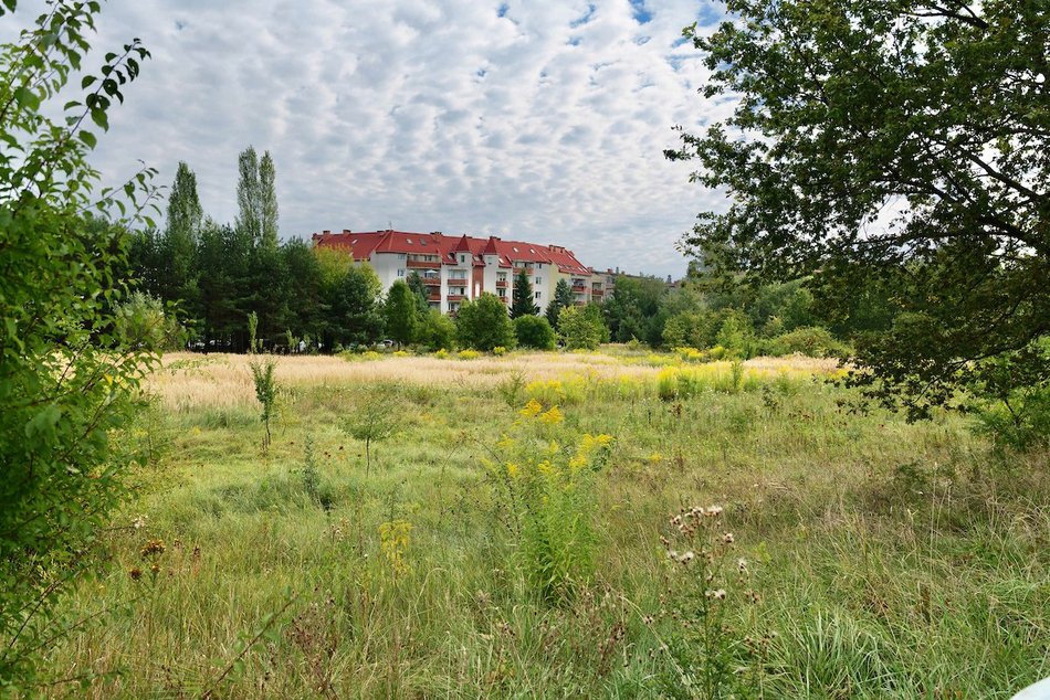 Park Mirabelka w Łodzi. Zielona przestrzeń przy ulicy Ustronnej zyskała nowa nazwę