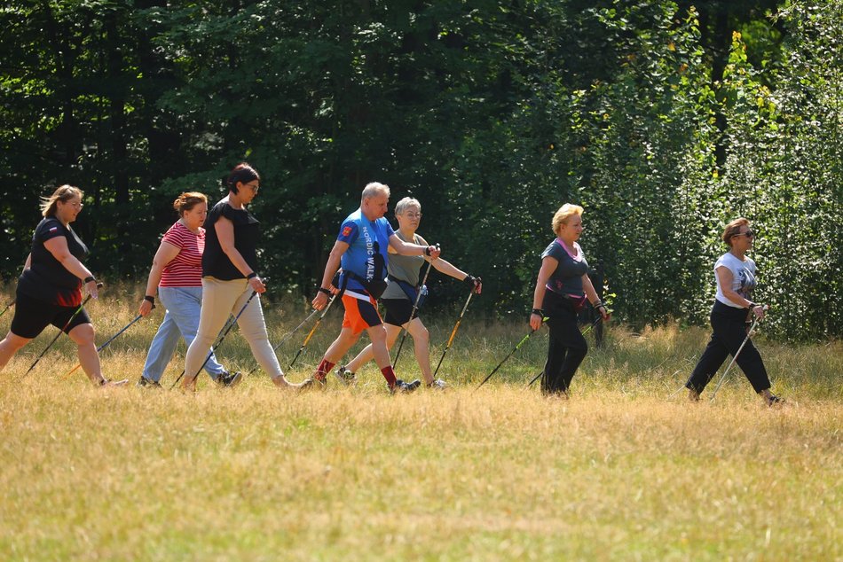 Łódź. Bałuckie Kije. Weź udział w cyklu bezpłatnych spacerów nordic walking