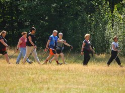 Łódź. Bałuckie Kije. Weź udział w cyklu bezpłatnych spacerów nordic walking
