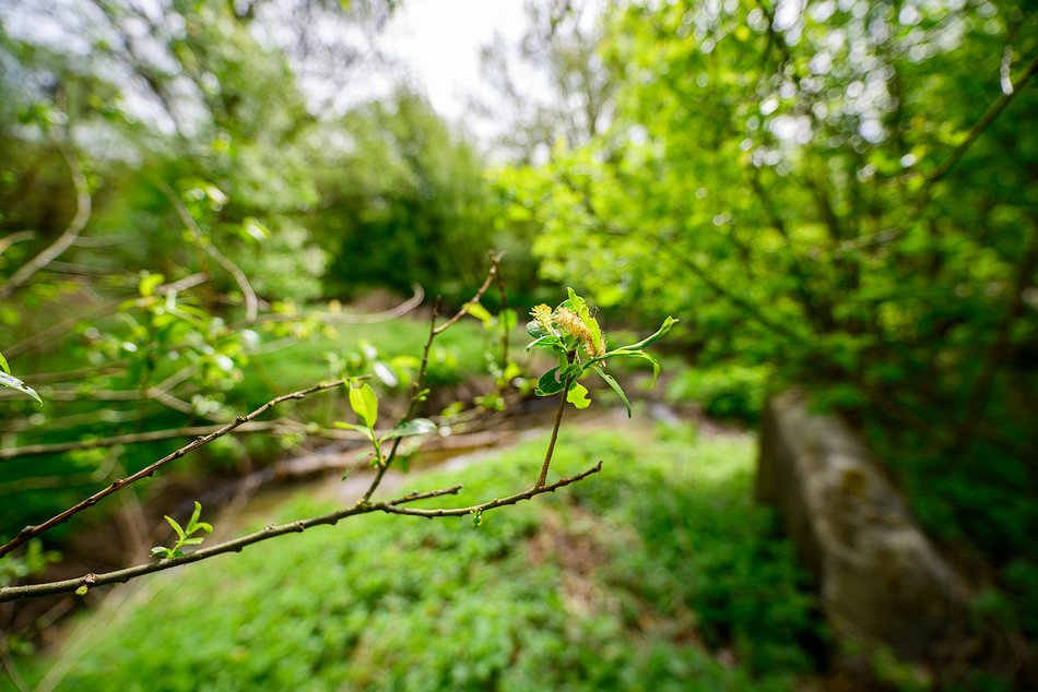 Łódź. Nazwij teren przy rzece Ner w Łodzi! Zielony zakątek w twoich rękach!