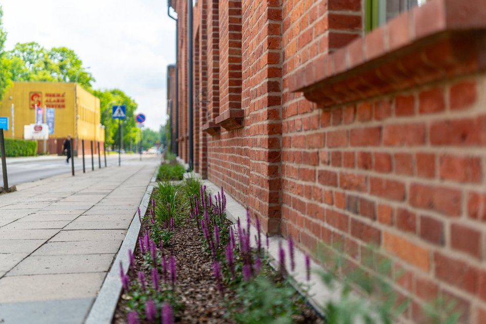 Ogrody fasadowe na Księżym Młynie przy ul. Przędzalnianej