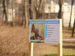 Łódź. Międzynarodowy Dzień Wiewiórki