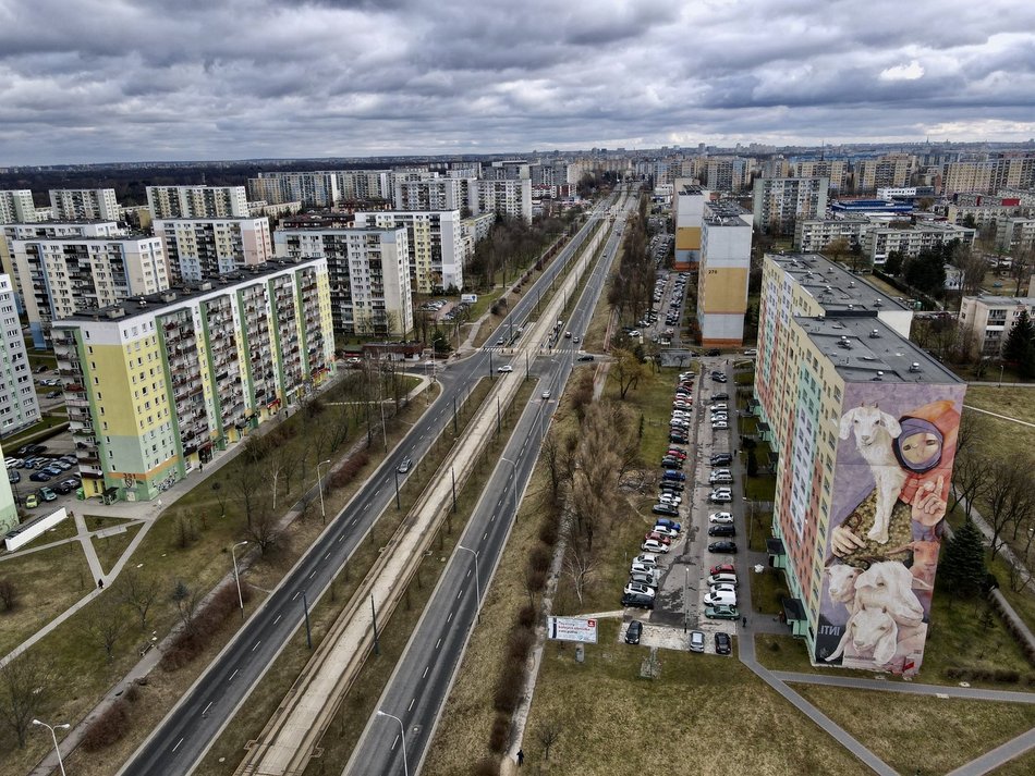 Łódź. Miasto zazieleni się dzięki Budżetowi Obywatelskiemu