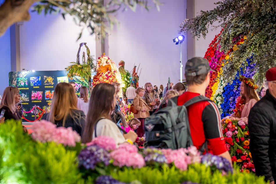 Łódź. World Flower Show w hali Expo Łódź. Przyjdź i zobacz orchidee, drzewa bonsai i sukulenty