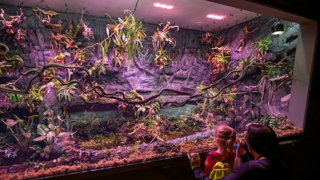 Gdzie w Łodzi znaleźć zieleń zimą? Nasze propozycje atrakcji w ogrzewanych wnętrzach [PRZEWODNIK]