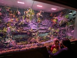 Łódź. Gdzie w Łodzi znaleźć zieleń zimą? Nasze propozycje atrakcji w ogrzewanych wnętrzach