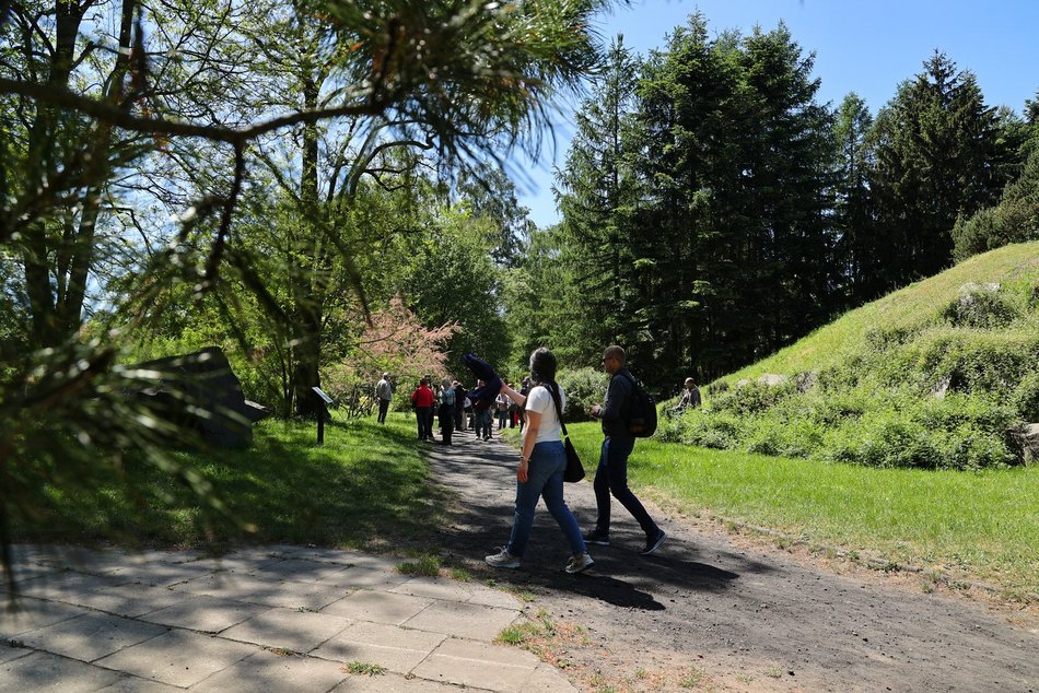 Ogród Botaniczny w Łodzi. Kwitnące rośliny
