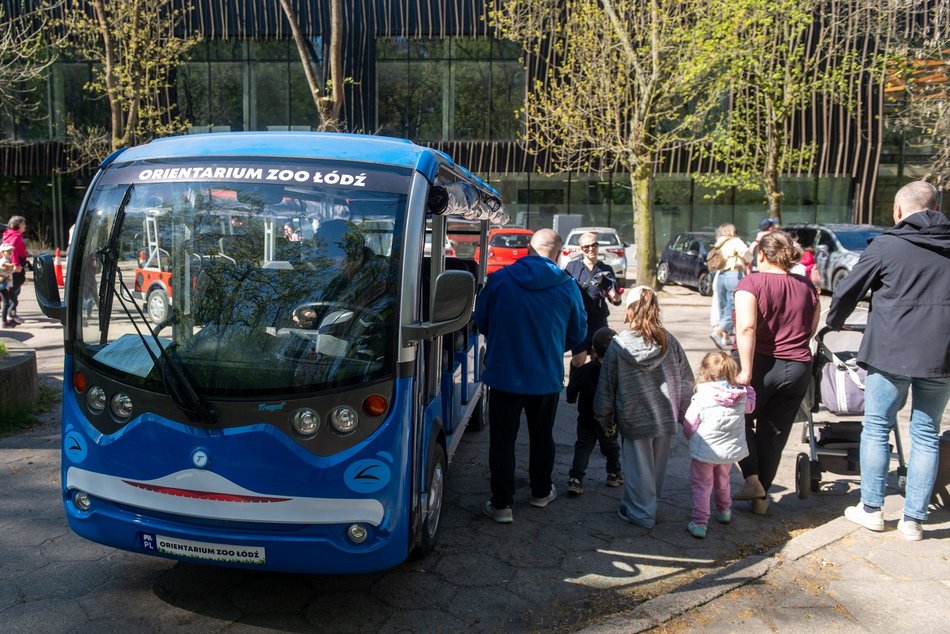 Łódź. Meleksami do atrakcji! Dojedziesz nimi do Orientarium Zoo Łódź, Aquaparku Fala i Atlas Areny!