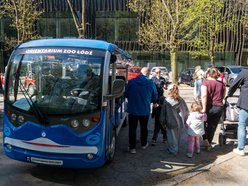 Łódź. Meleksami do atrakcji! Dojedziesz nimi do Orientarium Zoo Łódź, Aquaparku Fala i Atlas Areny!