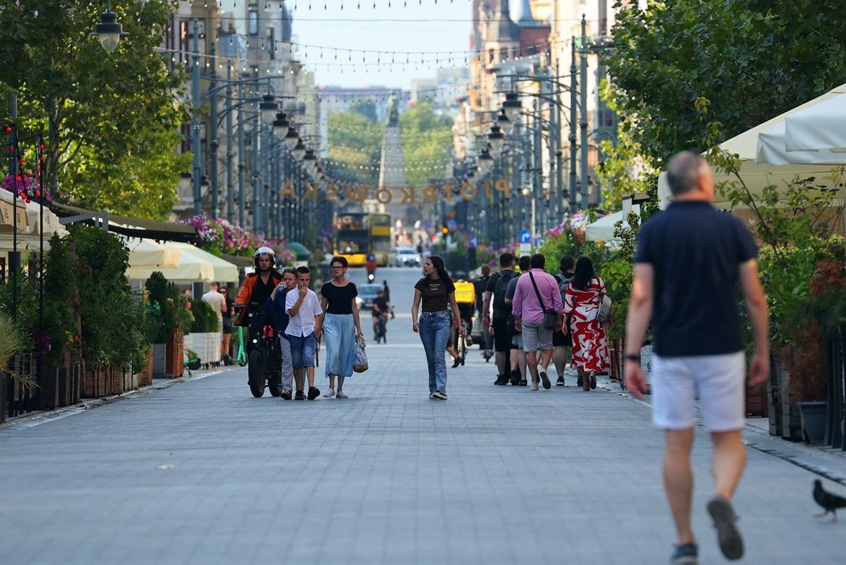 Drzewa na ul. Piotrkowskiej