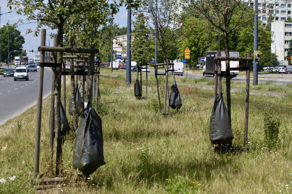 podlewanie roślinności