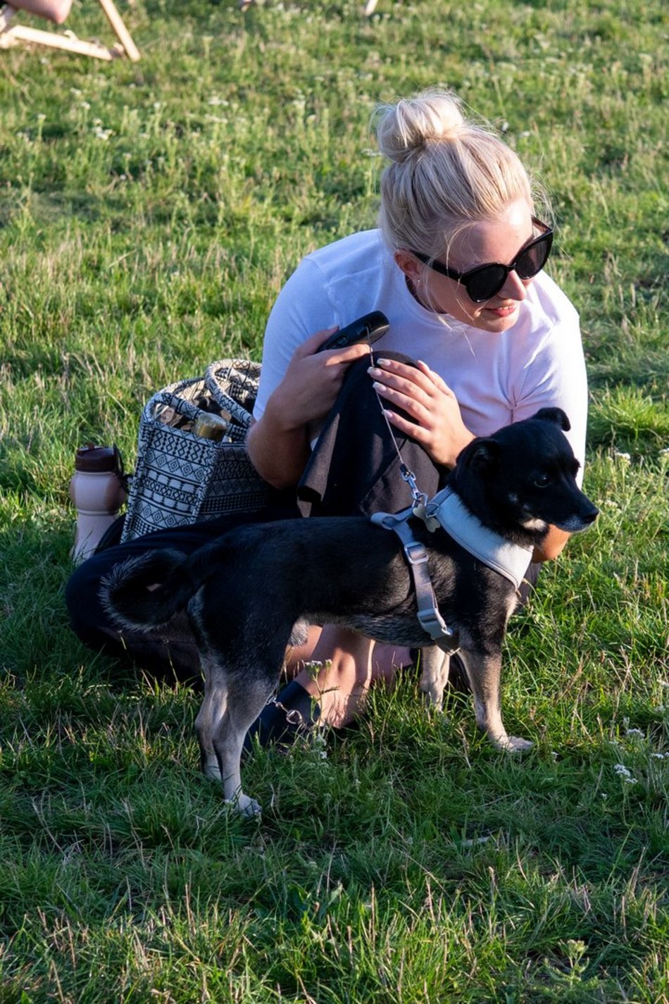 Łódź. Psia Polówka na Widzewskiej Górce. Psiaki przejęły dowodzenie!