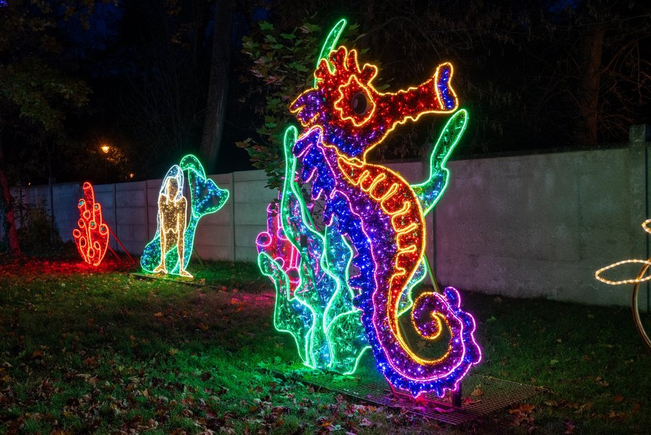 Park Miliona Świateł w Łodzi otwarty! Magiczne zwierzęta opanowały Orientarium Zoo Łódź