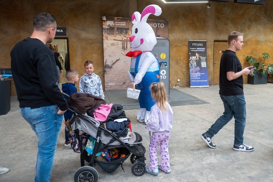 Łódź. Wielkanocny zając w Orientarium Zoo Łódź