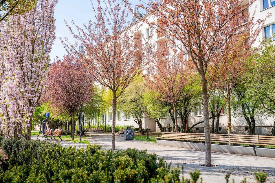 Łódź. Najpiękniejszy skwer? Kiedyś zaniedbany trawnik, dzisiaj kwitnący ogród