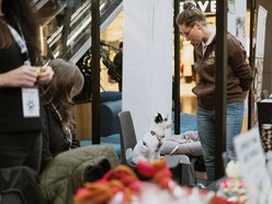 Łódź. Psi Targ w Manufakturze