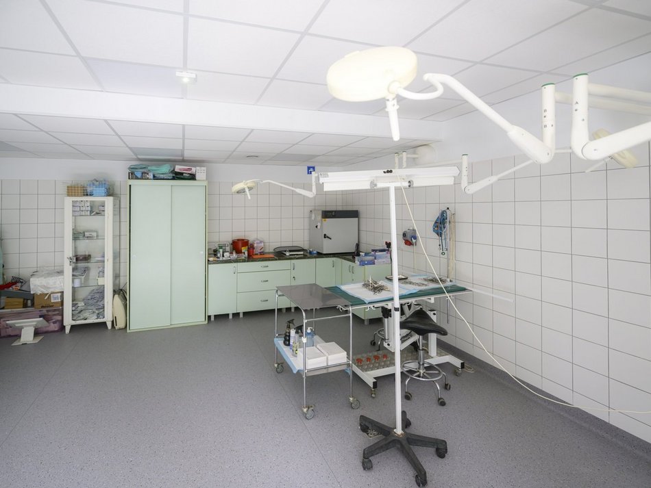 Łódź. Remont sal adopcyjnych, szpitala i kliniki