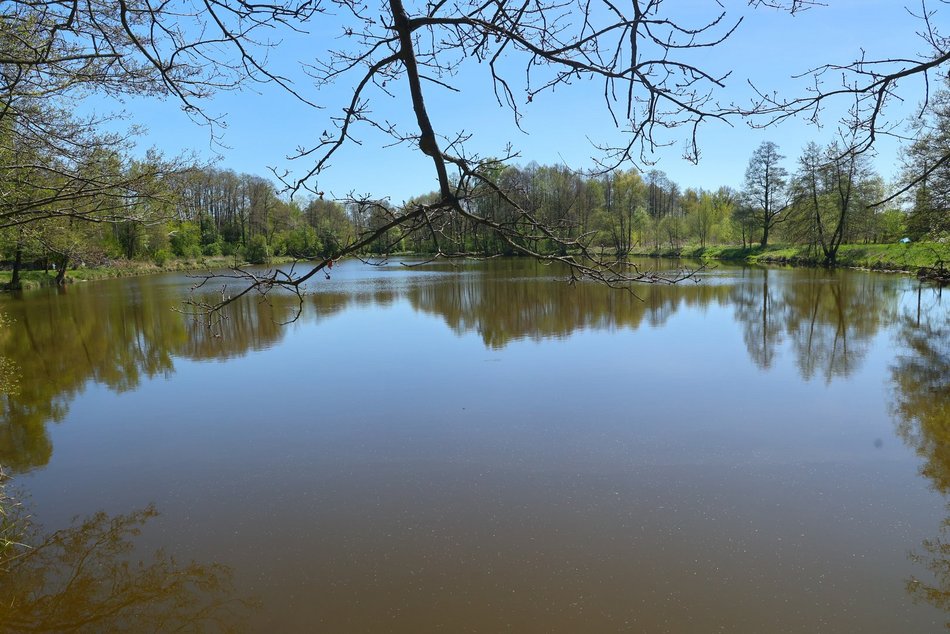 Łódź. Majówka na Stawach Stefańskiego w Łodzi. Słowiańska wioska, rowery wodne i grillowanie