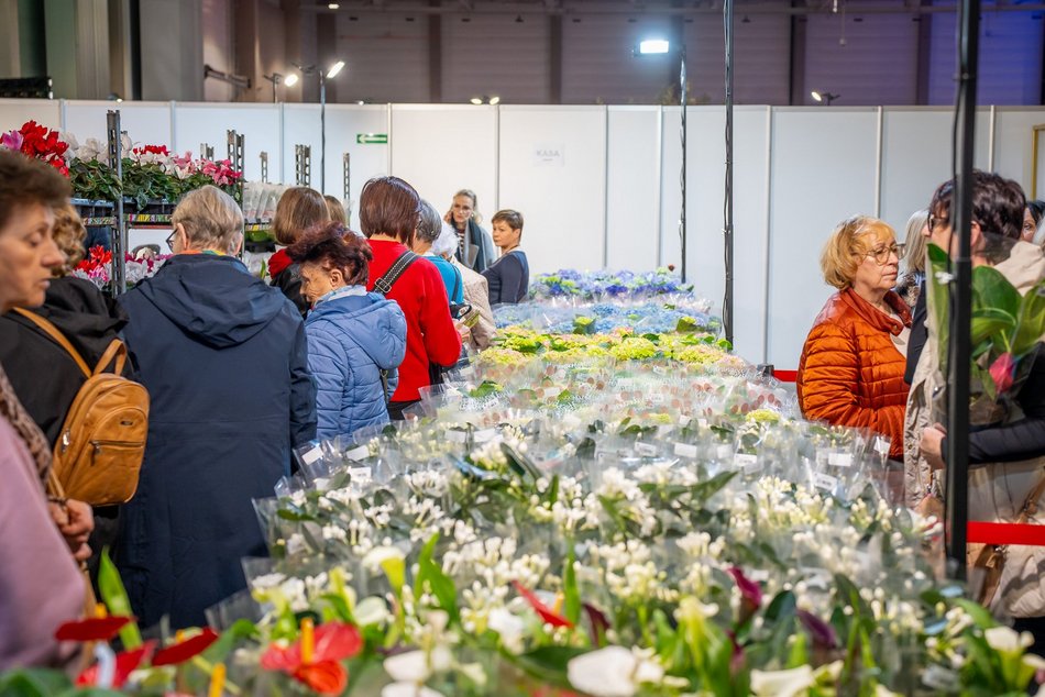 Łódź. World Flower Show w hali Expo Łódź. Przyjdź i zobacz orchidee, drzewa bonsai i sukulenty